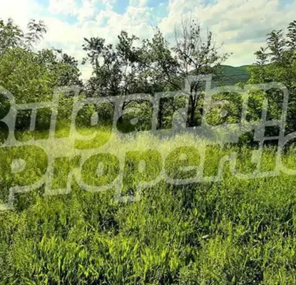 Photo 2 — Plot in Oblast Varna, Debelec
