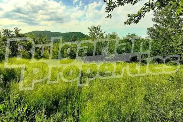 Plot in Oblast Varna, Debelec