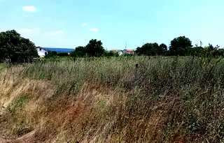 Парцел във Варна, с. Детелина