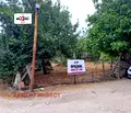 Снимка 2 — Парцел във Варна, с. Добри дол
