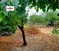 Снимка 4 — Парцел във Варна, с. Добри дол