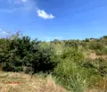 Снимка 5 — Парцел във Варна, с. Доброглед