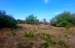 Парцел във Варна, с. Доброглед