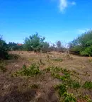 Парцел във Варна, с. Доброглед
