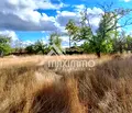 Снимка 4 — Парцел във Варна, с. Доброглед
