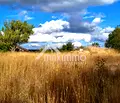 Снимка 5 — Парцел във Варна, с. Доброглед