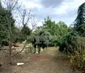 Снимка 5 — Парцел във Варна, с. Долище
