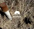 Снимка 5 — Парцел във Варна, с. Езерово