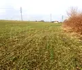 Снимка 4 — Парцел във Варна, с. Езерово
