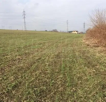 Photo 4 — Plot in Oblast Varna, Ezerovo