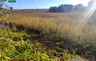 Парцел във Варна, с. Габърница