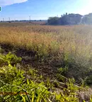 Парцел във Варна, с. Габърница