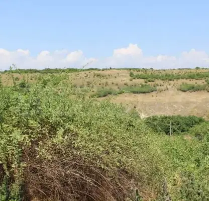 Photo 2 — Plot in Oblast Varna, General Kantardjievo