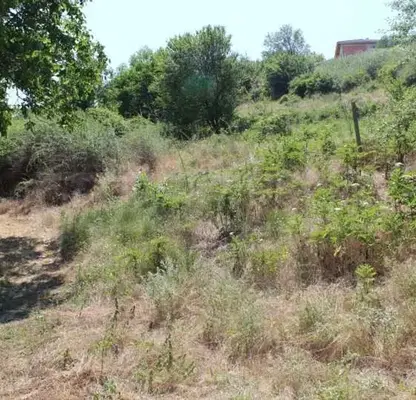 Photo 4 — Plot in Oblast Varna, General Kantardjievo