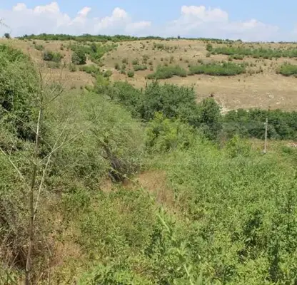 Photo 5 — Plot in Oblast Varna, General Kantardjievo