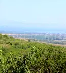 Парцел във Варна, с. Генерал Кантарджиево