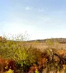 Парцел във Варна, с. Генерал Кантарджиево