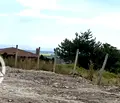 Снимка 3 — Парцел във Варна, с. Генерал Кантарджиево