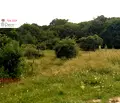 Снимка 5 — Парцел във Варна, с. Кичево