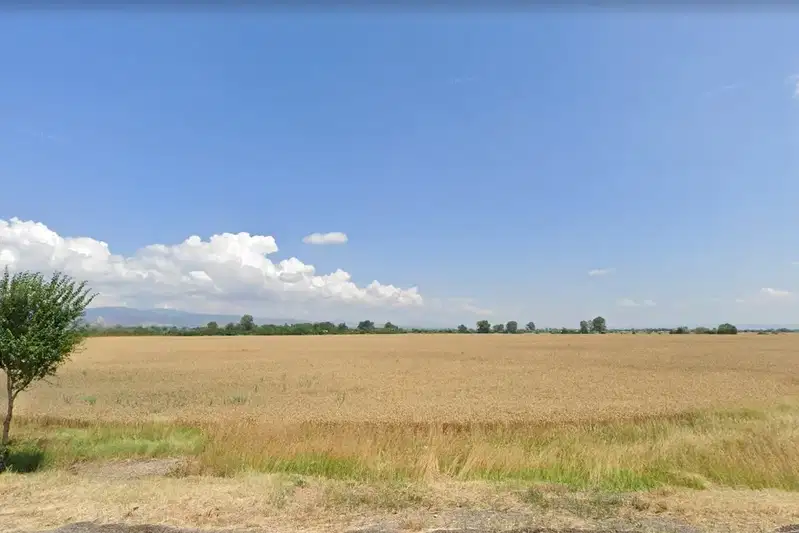 Парцел във Варна, с. Кичево