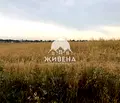 Снимка 2 — Парцел във Варна, с. Кичево