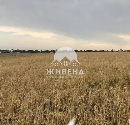 Photo 3 — Plot in Oblast Varna, Kichevo