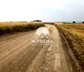 Снимка 5 — Парцел във Варна, с. Кичево