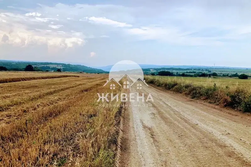 Plot in Oblast Varna, Kichevo