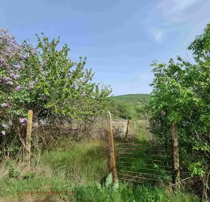 Photo 2 — Plot in Oblast Varna, Kichevo