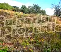 Снимка 4 — Парцел във Варна, с. Кичево