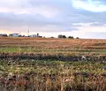Снимка 5 — Парцел във Варна, с. Кичево