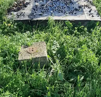 Photo 5 — Plot in Oblast Varna, Kichevo