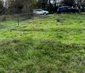 Снимка 2 — Парцел във Варна, с. Климентово