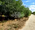 Снимка 4 — Парцел във Варна, с. Левски