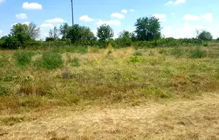 Парцел във Варна, с. Неофит Рилски