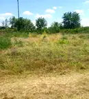 Парцел във Варна, с. Неофит Рилски