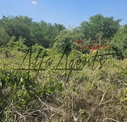 Photo 3 — Plot in Oblast Varna, Neofit Rilski