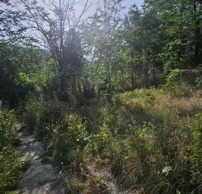 Photo 5 — Plot in Varna, Nevsha
