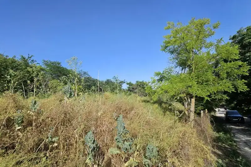 Plot in Varna, Nevsha