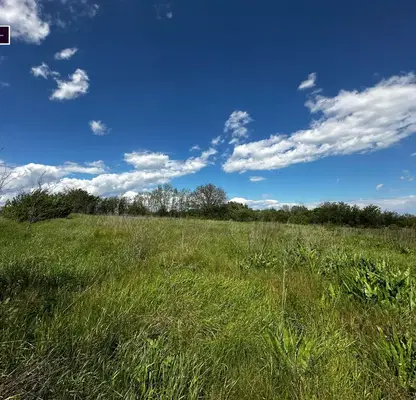 Photo 3 — Plot in Oblast Varna, Nikolaevka