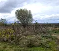 Снимка 3 — Парцел във Варна, с. Ново Оряхово