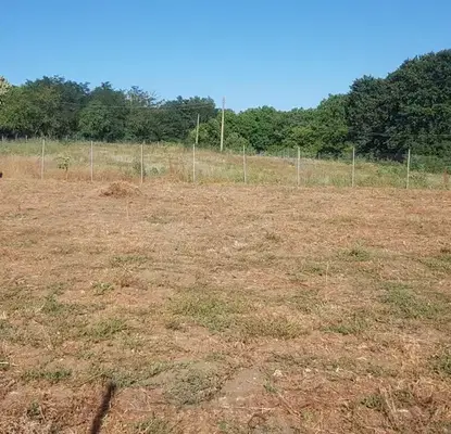 Photo 3 — Plot in Oblast Varna, Oreshak