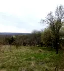 Парцел във Варна, с. Орешак