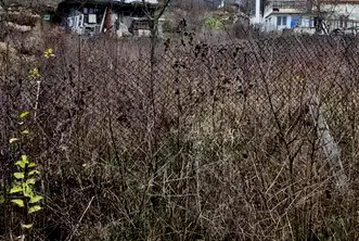 Парцел във Варна, с. Осеново
