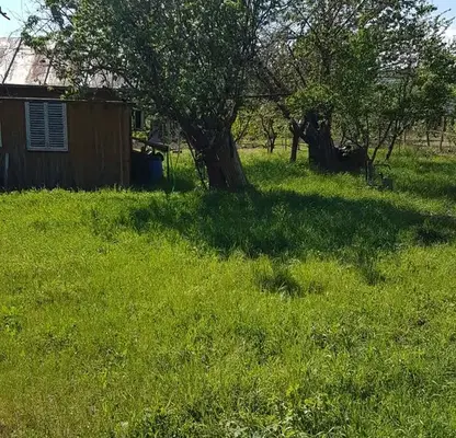 Снимка 3 — Парцел във Варна, с. Осеново