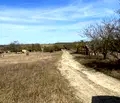 Снимка 4 — Парцел във Варна, с. Осеново
