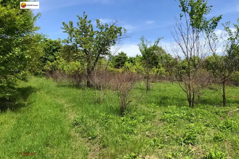 Plot in Oblast Varna, Osenovo