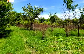 Парцел във Варна, с. Осеново