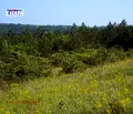 Снимка 3 — Парцел във Варна, с. Осеново