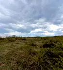 Парцел във Варна, с. Осеново